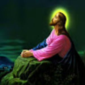 Meet your Posher, Domingo